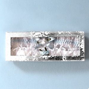 Hanky Panky Keepsake and Tossing Garter(s) New in box! Never opened!